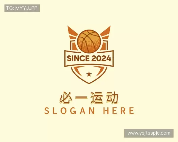 认识bsports