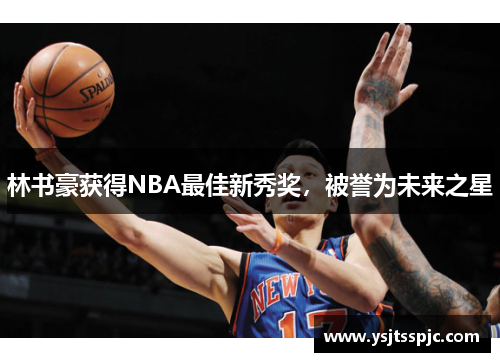 林书豪获得NBA最佳新秀奖，被誉为未来之星